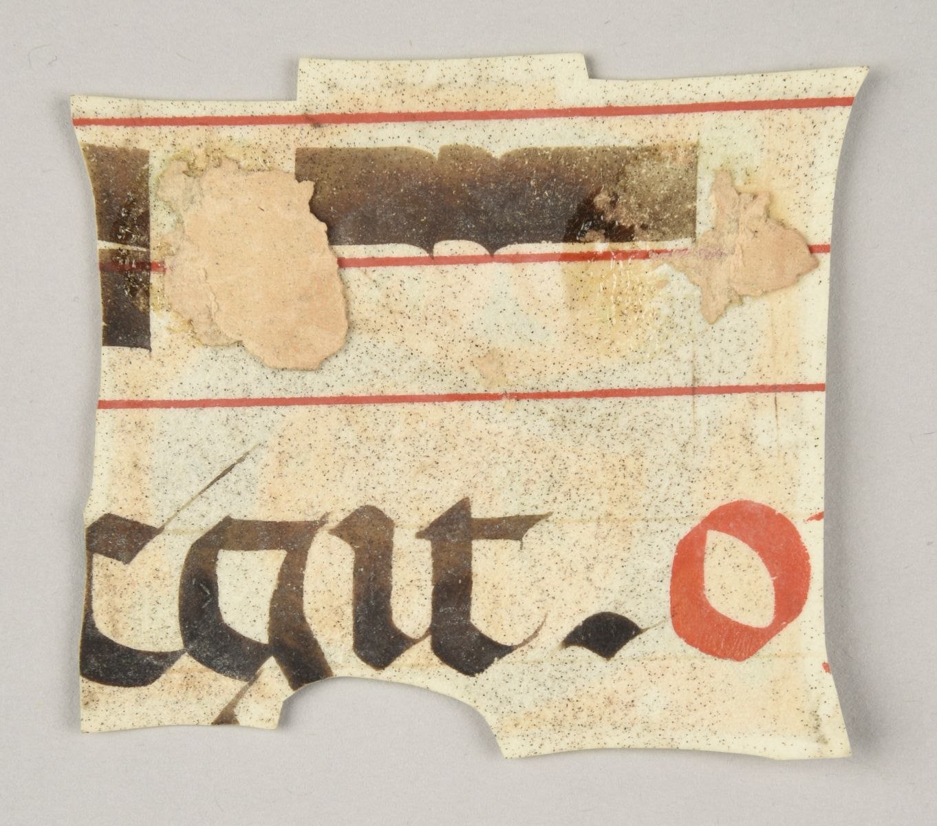 Lettre S ; Série C ; Lettre fleuronnée sur or (titre publié) ; Lettre ornée (titre inscrit à l'inventaire) ; Antiphonaire