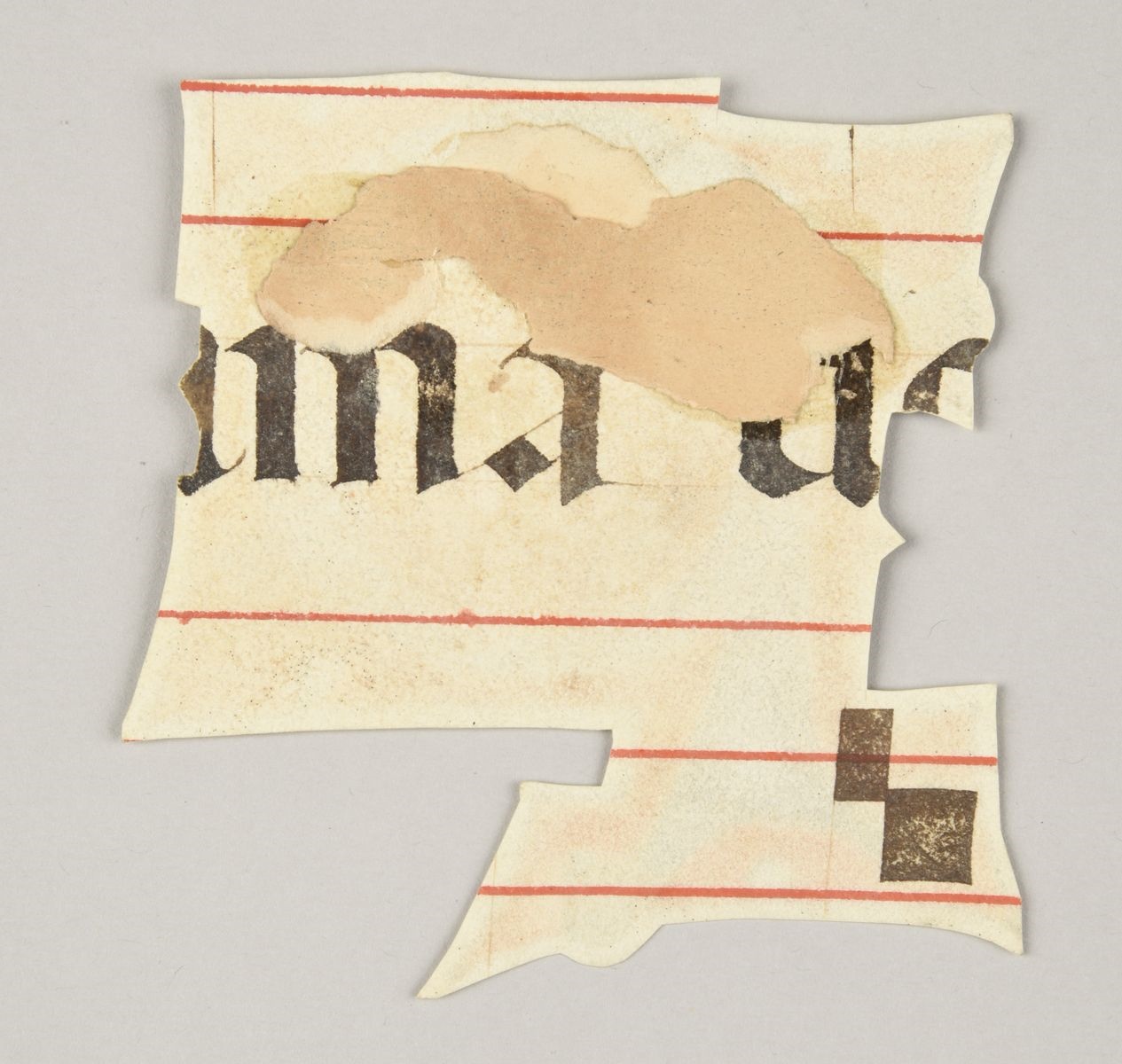 Lettre P ; Série C ; Lettre fleuronnée sur or (titre publié) ; Lettre ornée (titre inscrit à l'inventaire) ; Antiphonaire