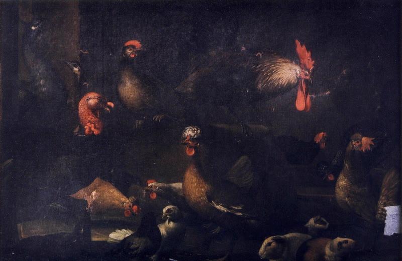 Animaux de basse-cour