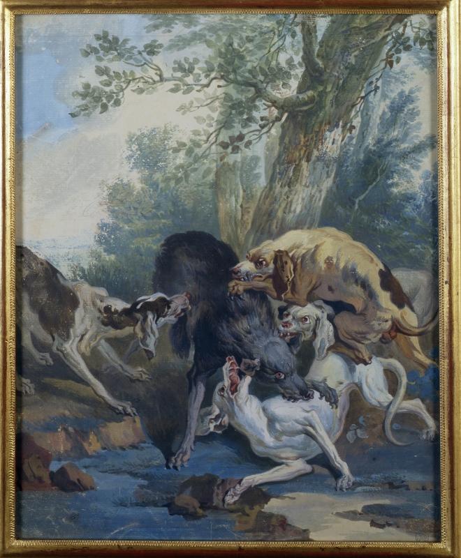 Loup attaqué par des chiens