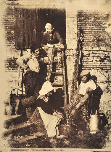 L'écossage des haricots à Argentelle