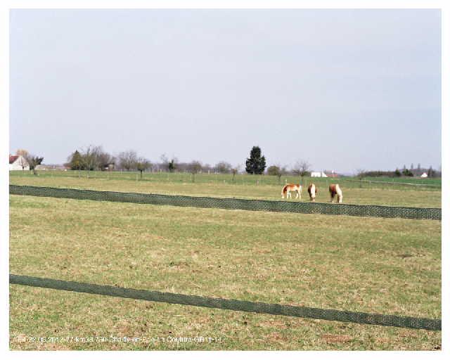 Chailly-en-Brie- La Couture - GR11-14 ; Traversée E4-22.03.2012-77-km38.750