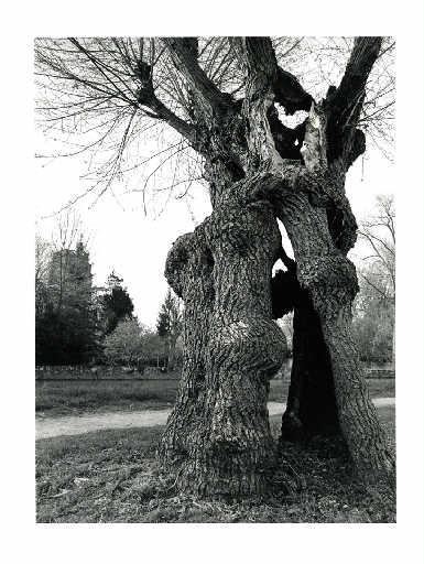 Encore et toujours vivant