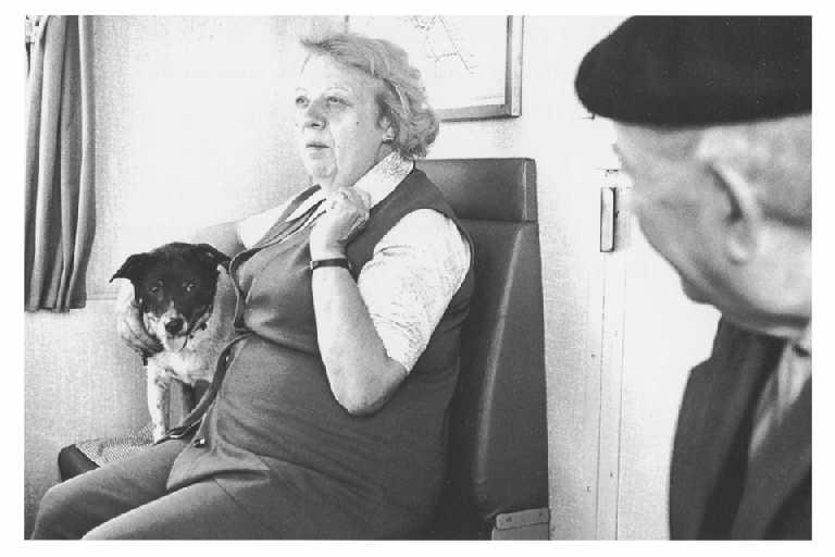 Banlieue Est. 1980 ; série Train quotidien