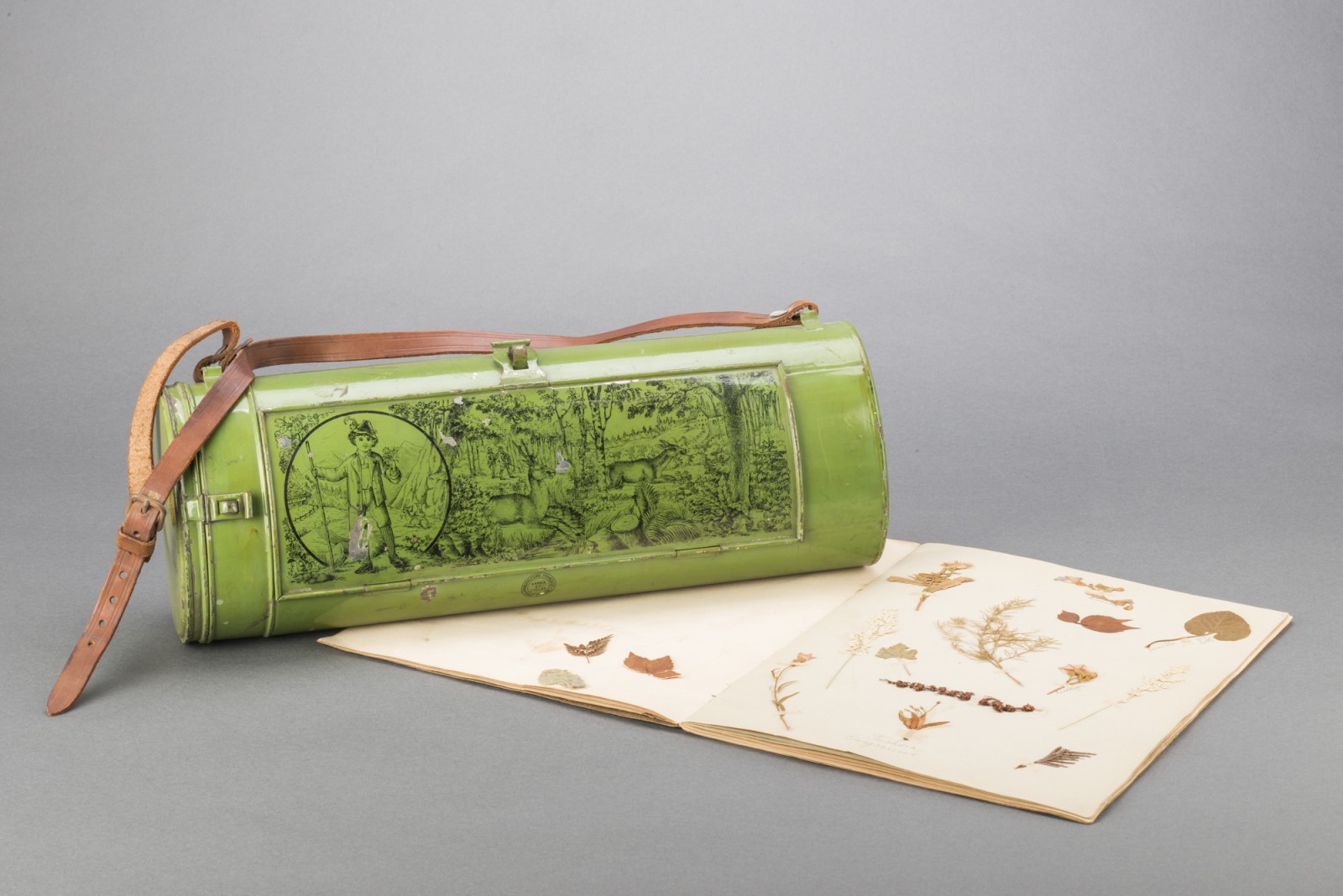 Boite à herboriser d'enfant