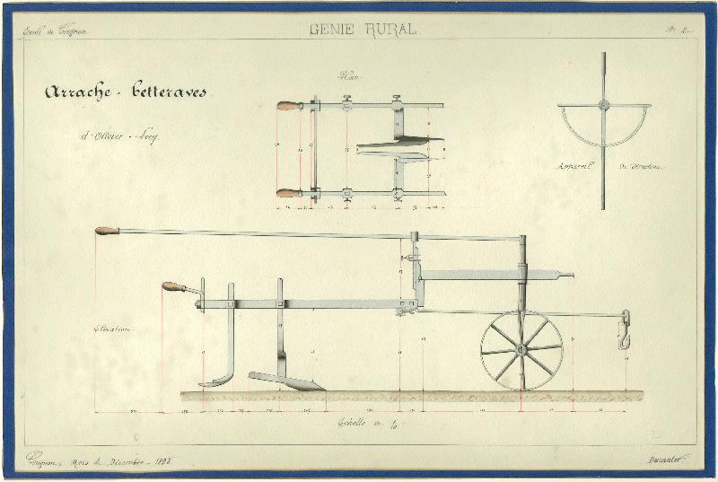 Arrache-betteraves d'Olivier Lecq