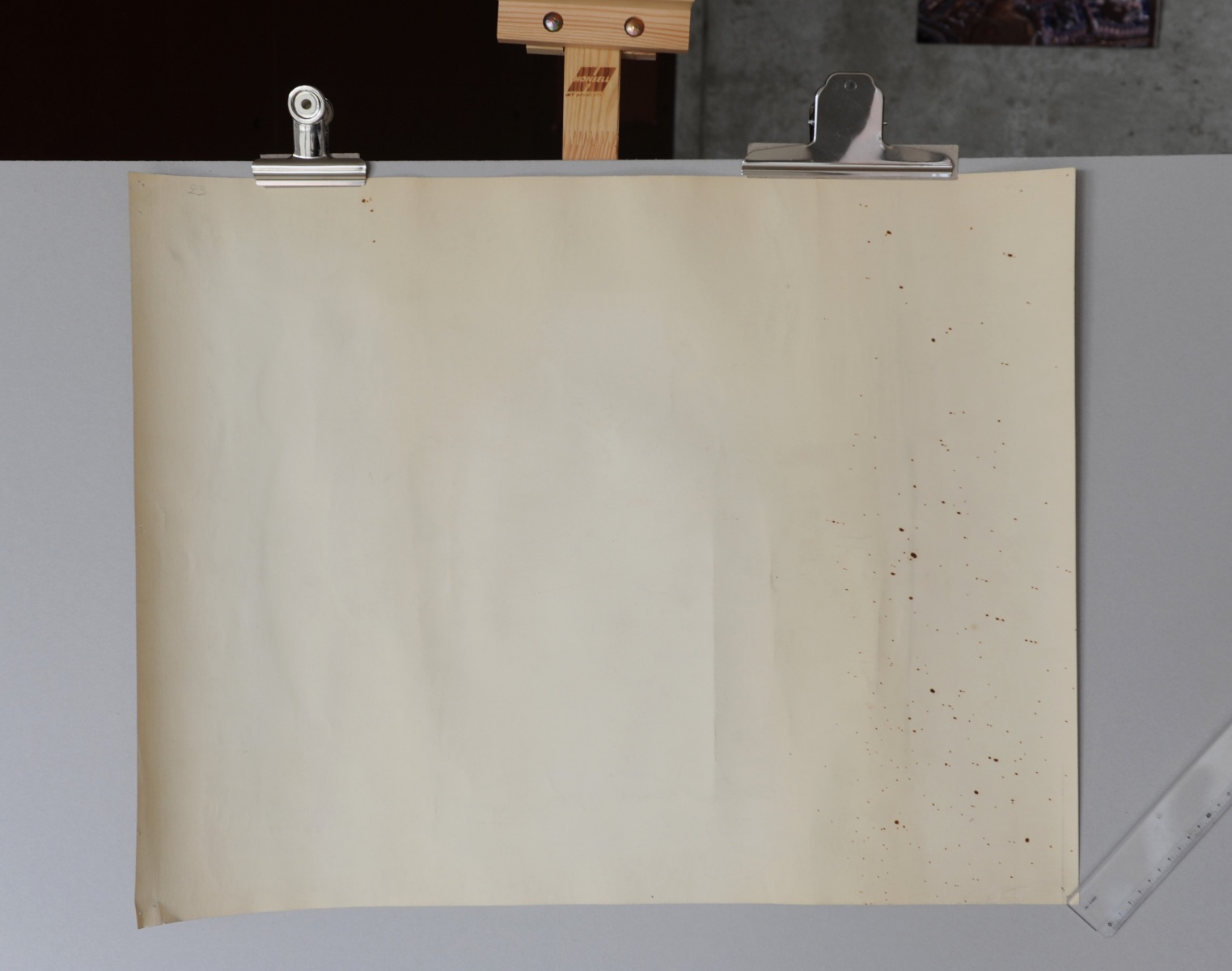 [Cygne avec ses trois cygneaux ]