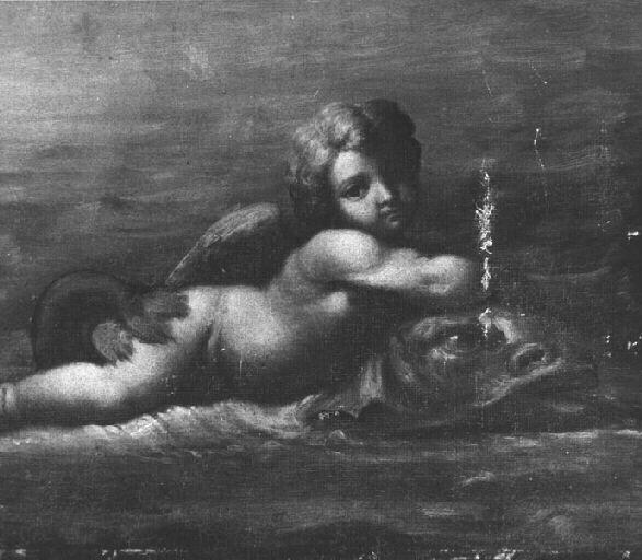 Amour sur un dauphin