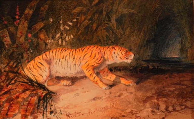 Tigre dans la jungle