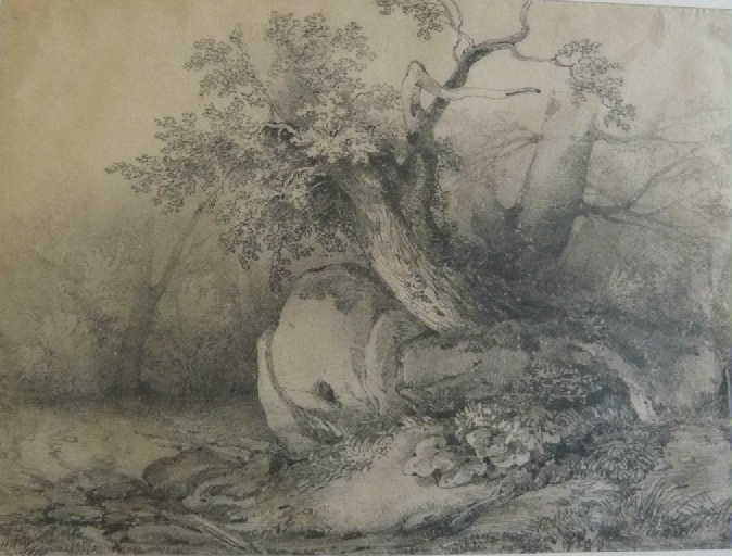 Étude d'arbres
