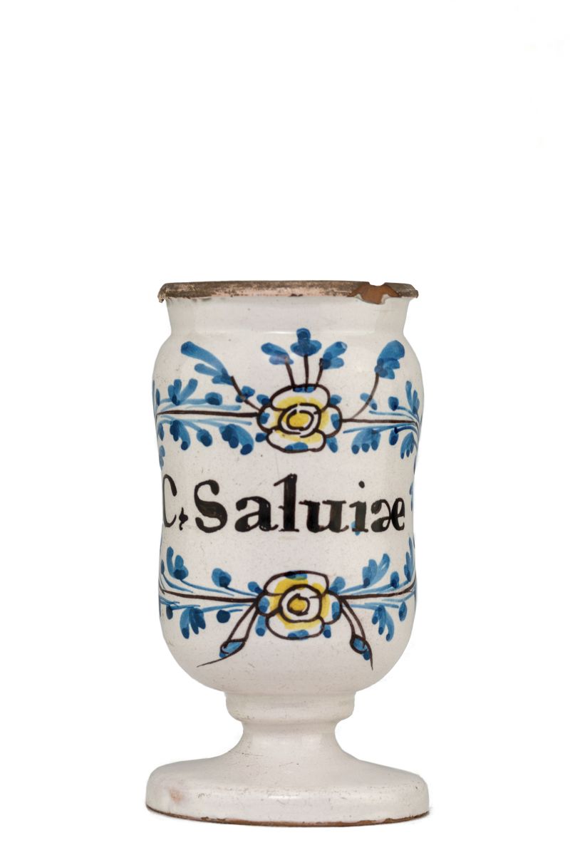 Pot canon avec inscription C. Saluiae