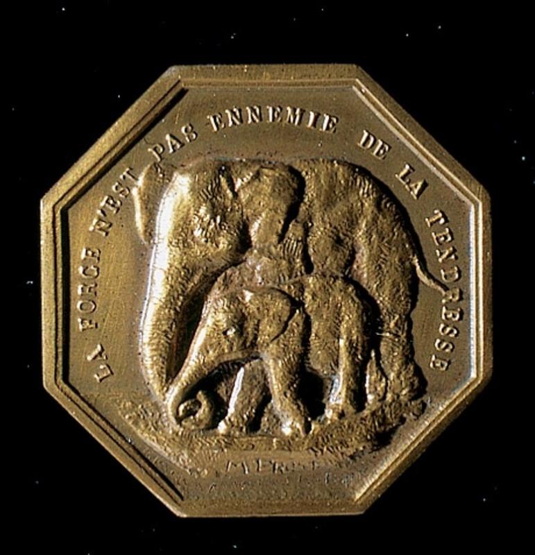 Eléphant et son petit