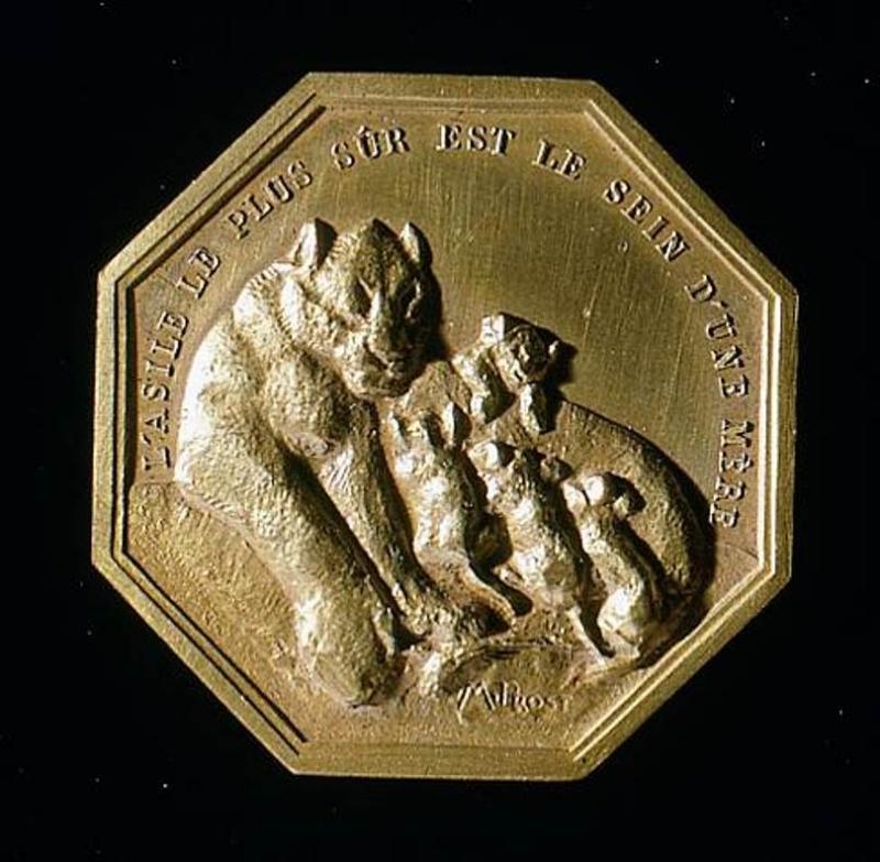 Lionne et ses petits