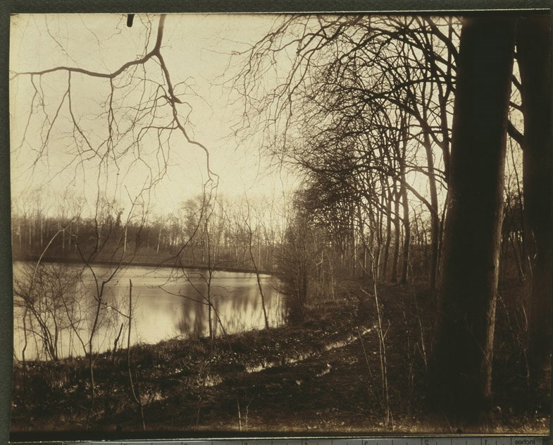 Sceaux. Parc. Bassin de l'Octogone