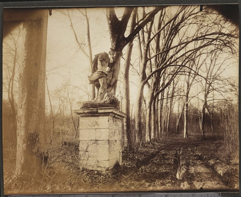 Sceaux. Parc. Statue près du Bassin de l'Octogone : Apollon et Daphné