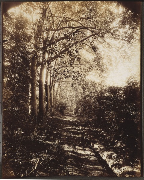 Sceaux. Parc. Allée près de l'Octogone