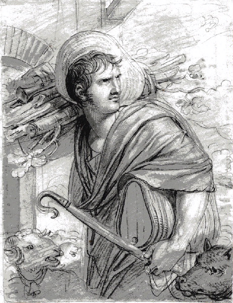 Brumaire (Projet dessiné)