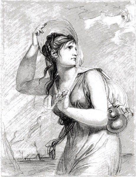 Nivôse (projet en partie retenu)