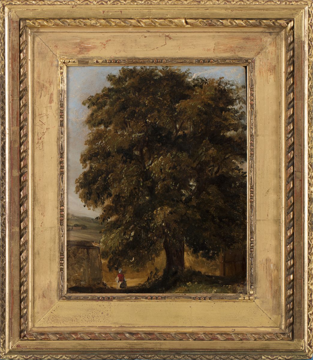 Grand arbre à Petit-Bry