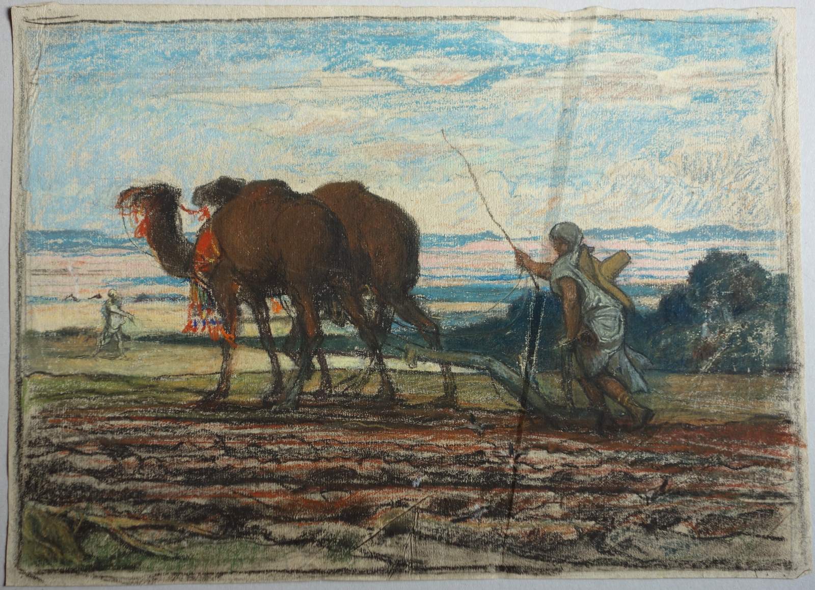 L'attelage de dromadaires