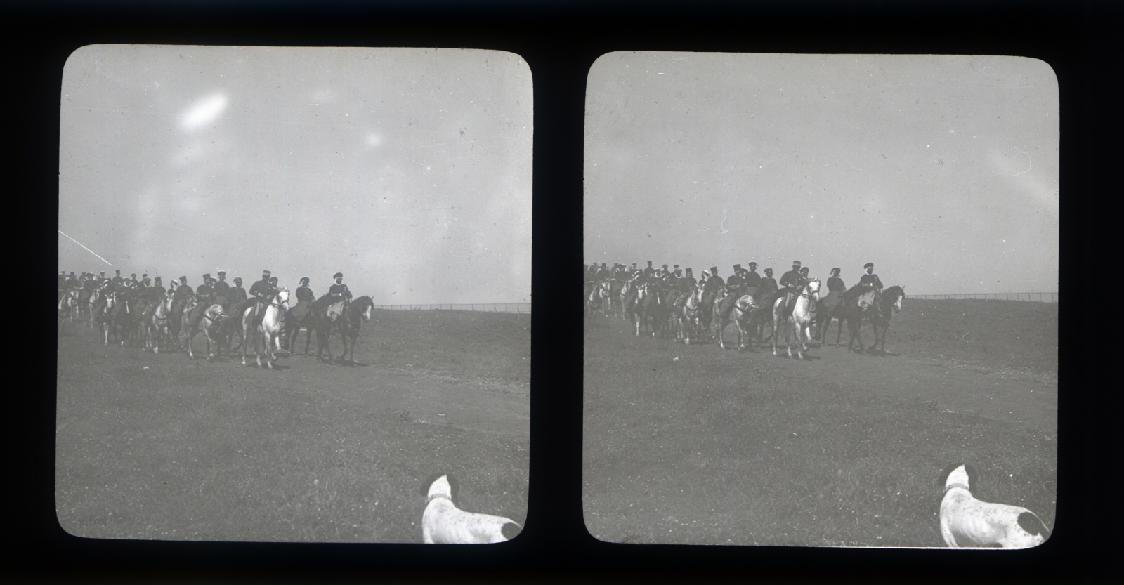 5e escadron 3e spahis (Guelma)