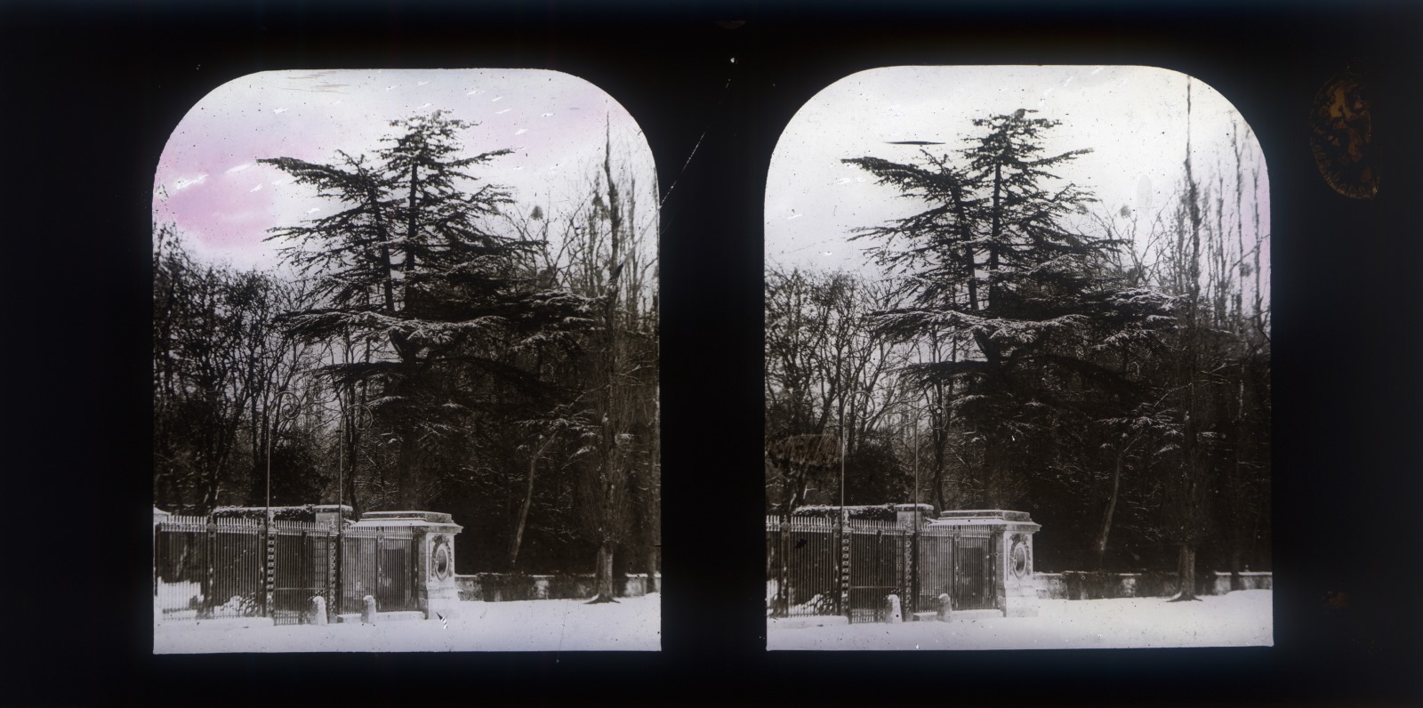 Effet de neige à Versailles