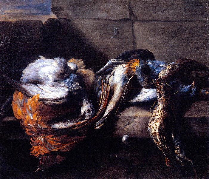 Gibier de plumes sur un rebord de pierre