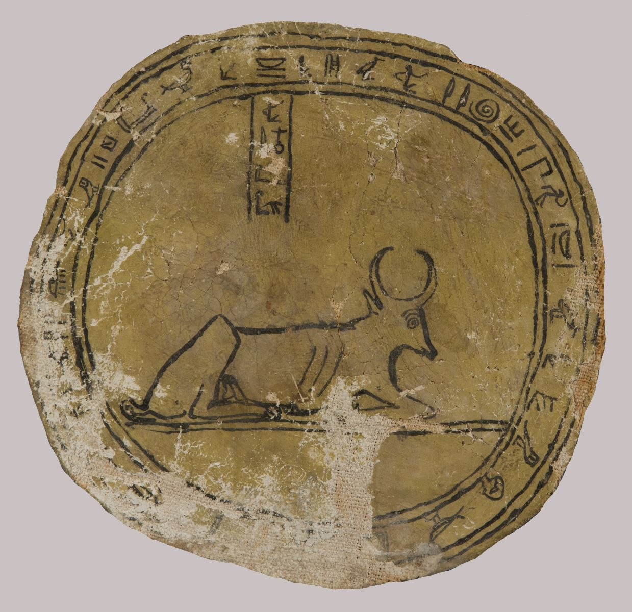 Hypocéphale, toile recouverte d'enduit