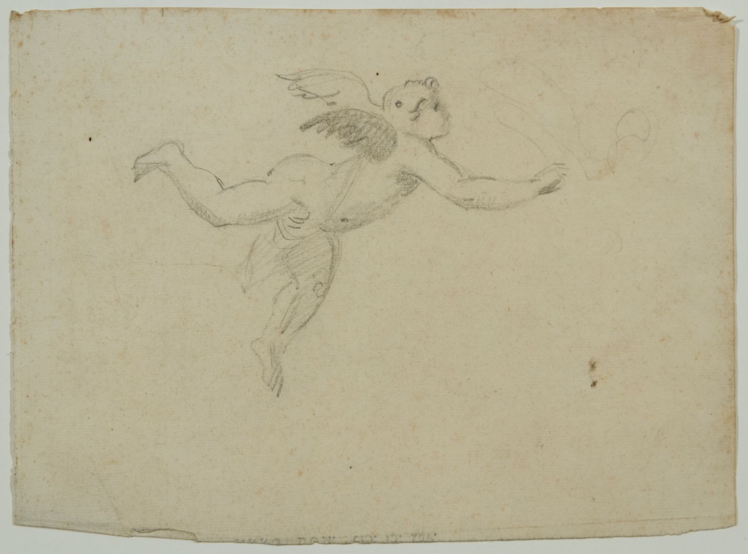 Ange (Cupidon)