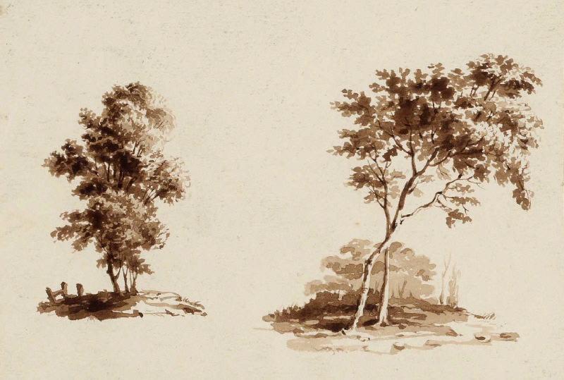 Deux arbres