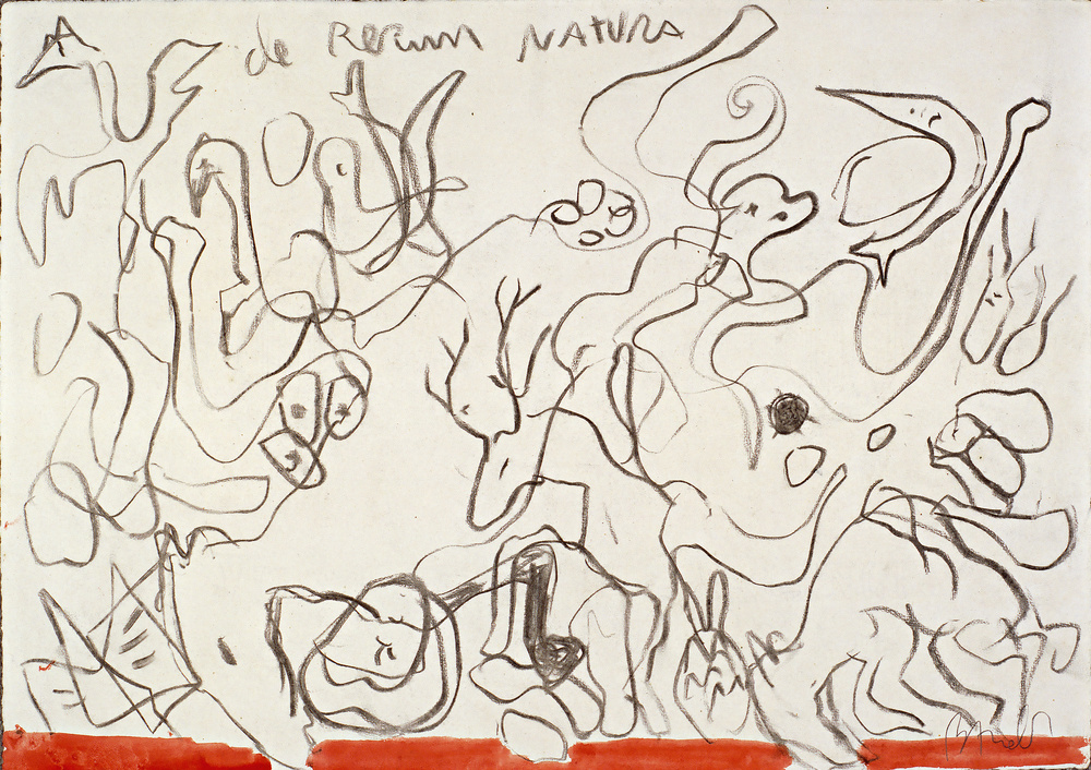 De rerum natura
