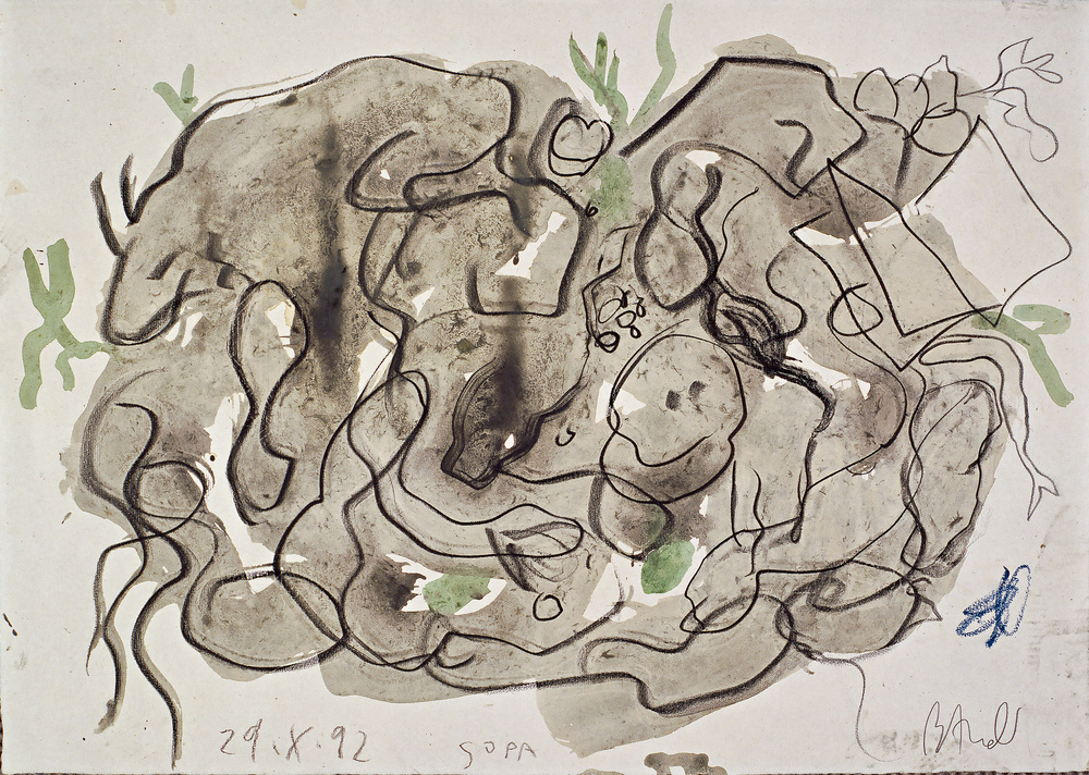Sopa