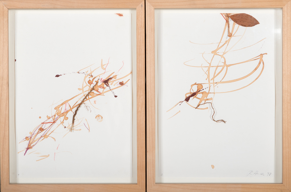 Entre les racines de l'arbre