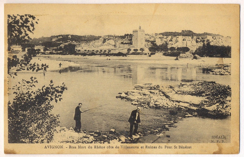 Bras mort du Rhône côte de Villeneuve et Ruines du pont St Bénézet
