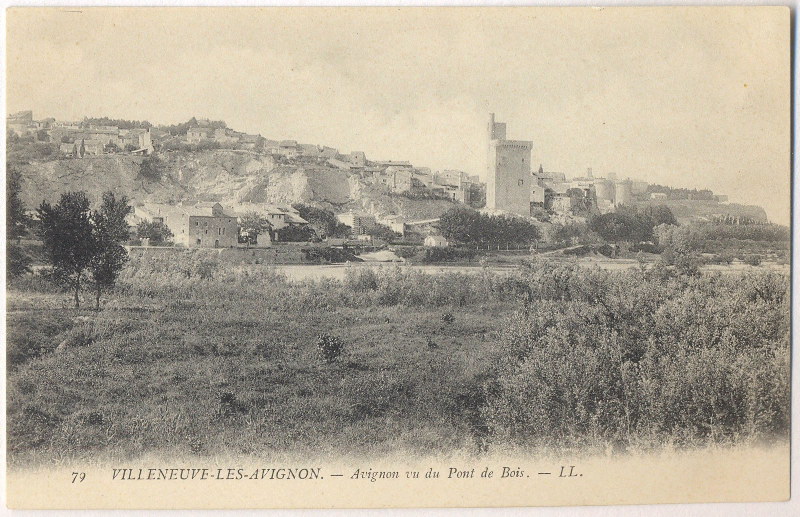 Villeneuve-lès-Avignon - Avignon vu du Pont de Bois