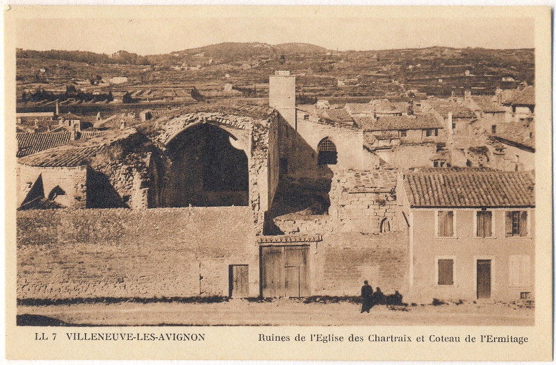 Villeneuve-lès-Avignon - Ruines de l'Eglise des Chartreux et Coteau de l'Ermitage