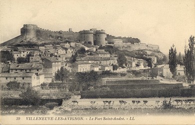 Villeneuve-lès-Avignon : vue générale