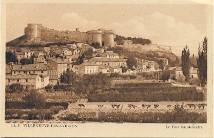 Villeneuve-lès-Avignon : vue générale