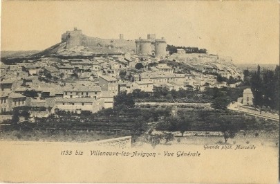 Villeneuve-lès-Avignon : vue générale