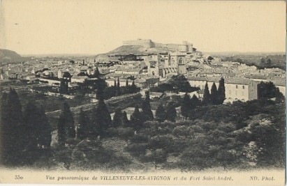 Villeneuve-lès-Avignon : vue générale