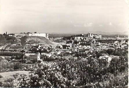 Villeneuve-lès-Avignon : vue générale