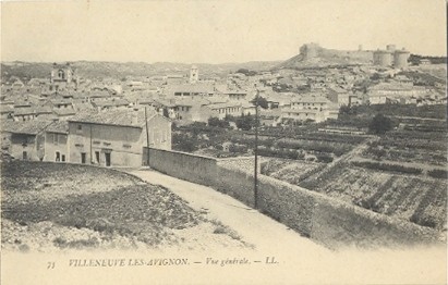 Villeneuve-lès-Avignon : vue générale