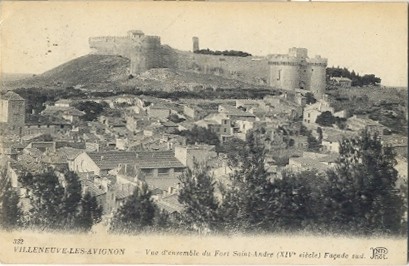 Villeneuve-lès-Avignon : vue générale