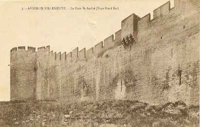 Villeneuve-lès-Avignon : Le Fort-Saint-André