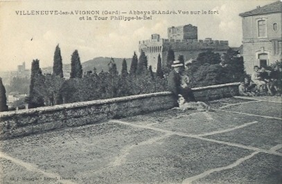 Villeneuve-lès-Avignon : abb. st André (terrasse)