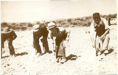 Villeneuve-lès-Avignon : scène agricole