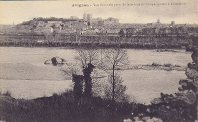 Avignon : vue générale depuis Villeneuve