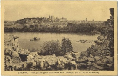 Avignon : vue générale depuis Villeneuve