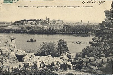 Avignon : vue générale depuis Villeneuve