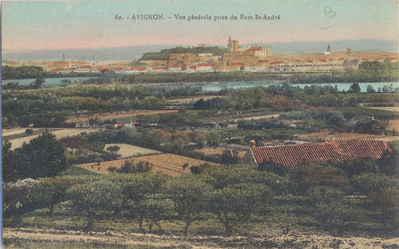 Avignon : vue générale depuis Villeneuve